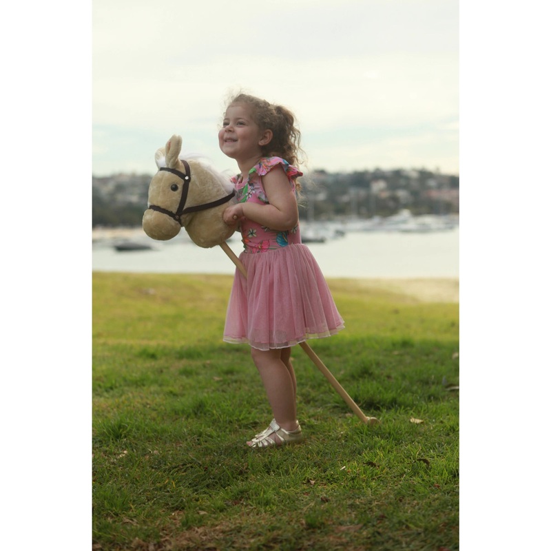 Freya Lane Harry Hobby Horse