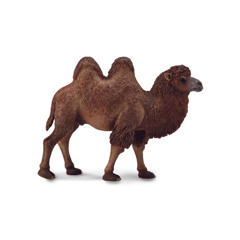 CollectA L Bactrian Camel