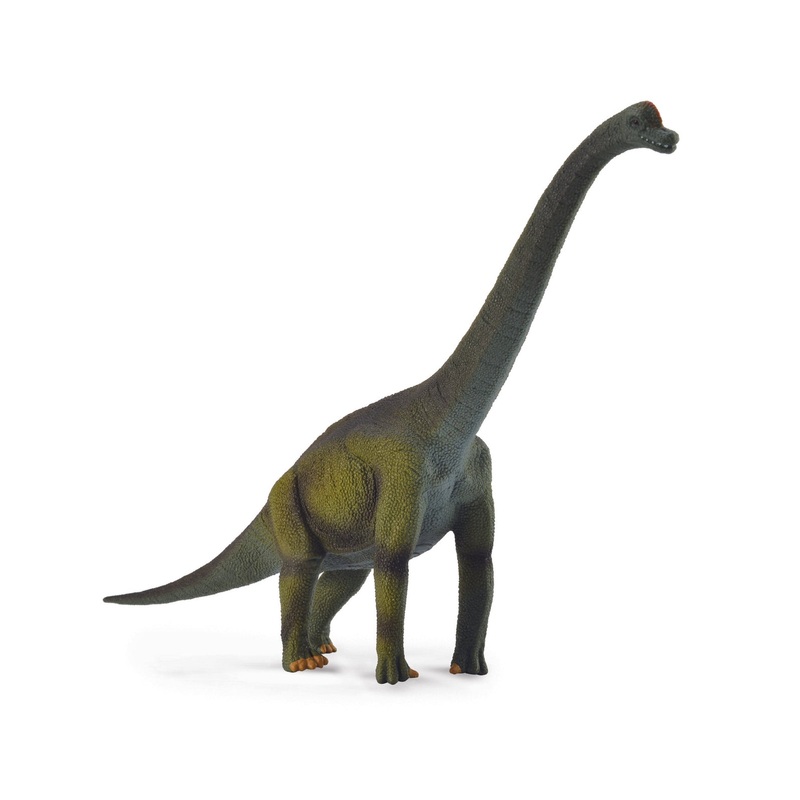 CollectA L Brachiosaurus