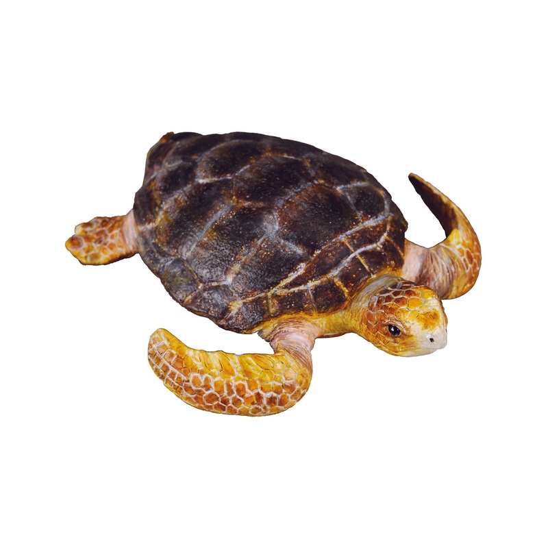 CollectA M Loggerhead Turtle