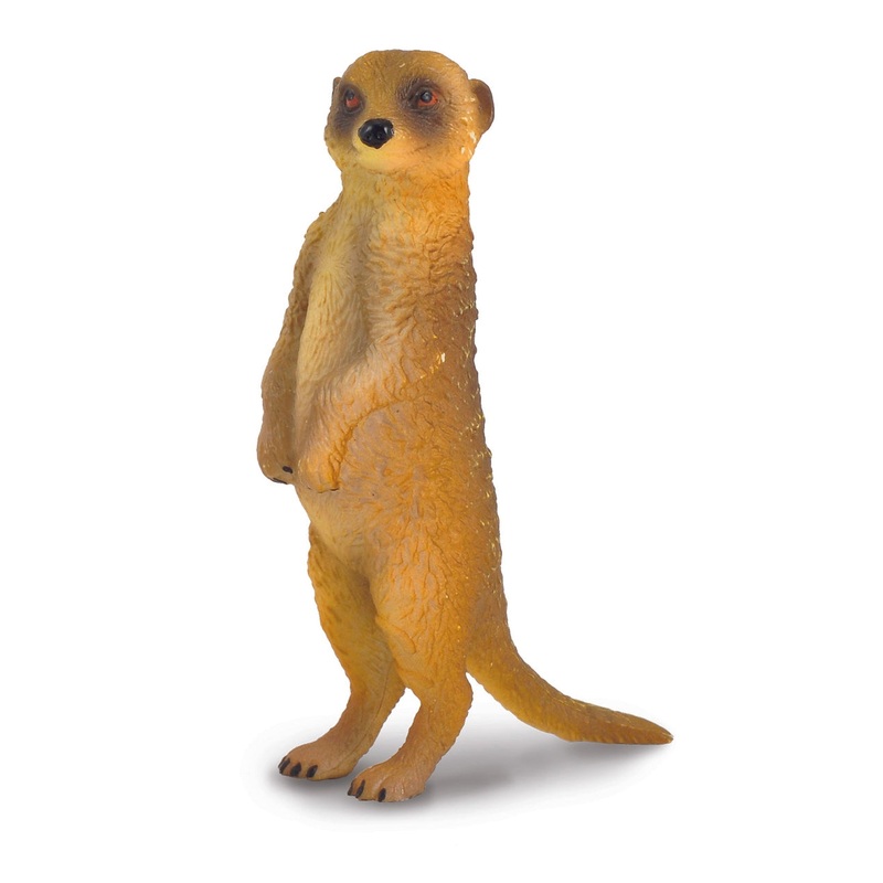 CollectA S Meerkat Standing