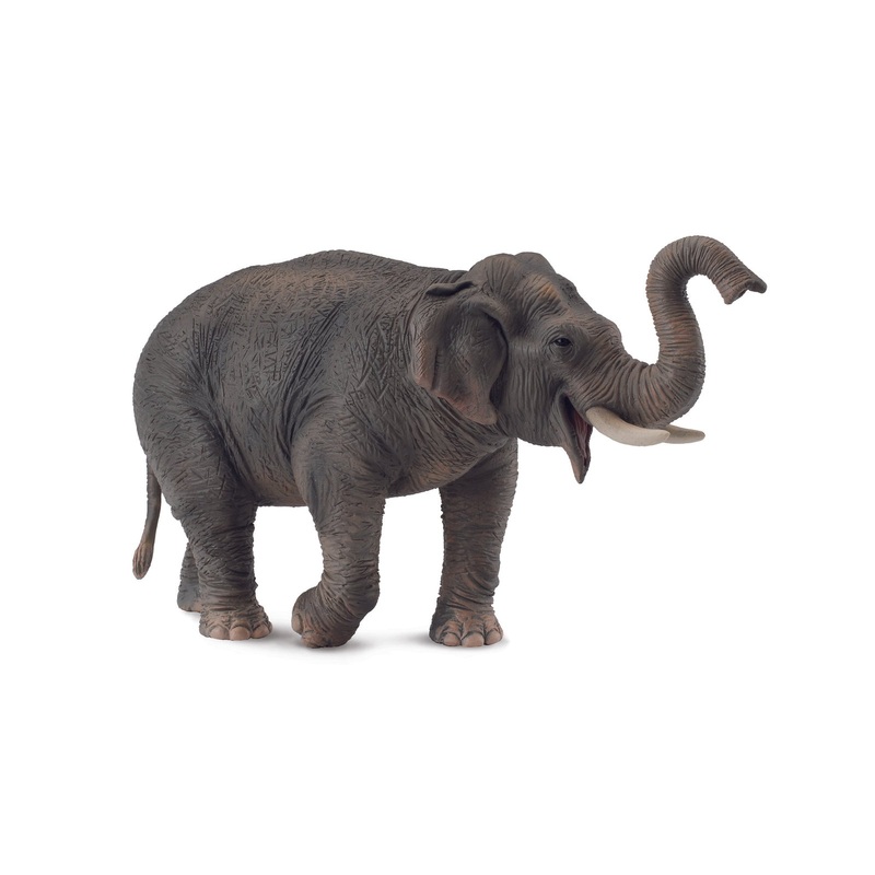 CollectA XL Asian Elephant