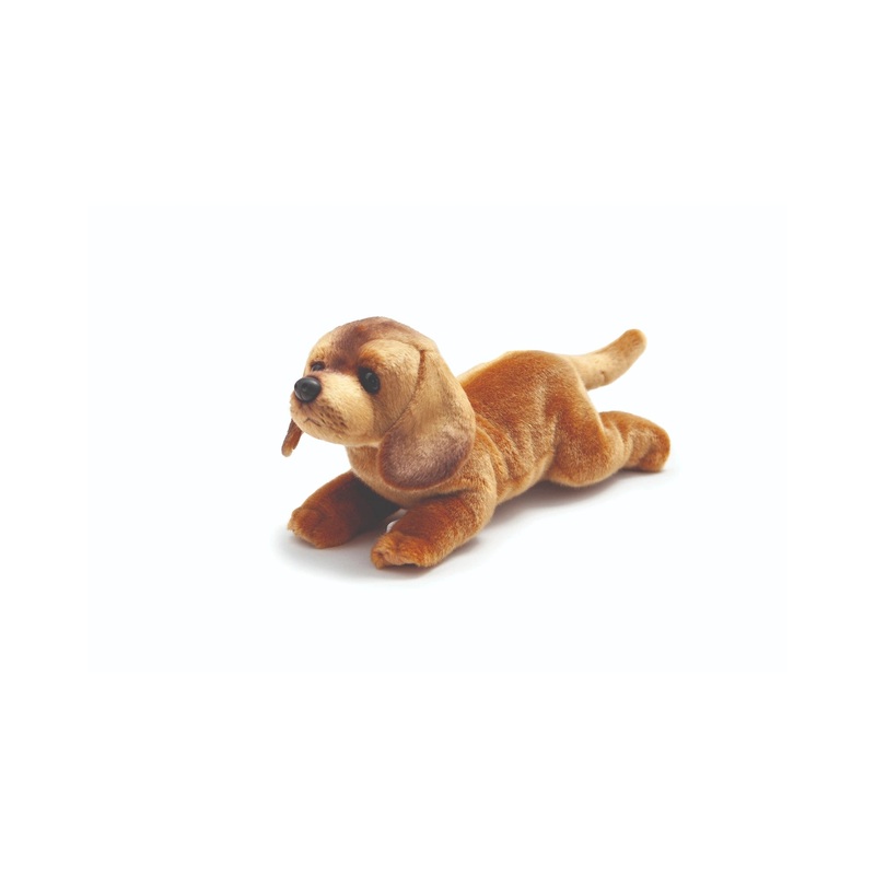 Animal Allsorts Daisy Dachshund