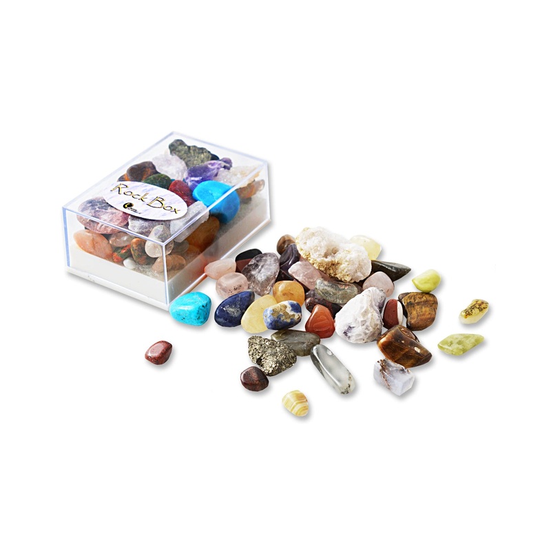 British Fossils Rock Box