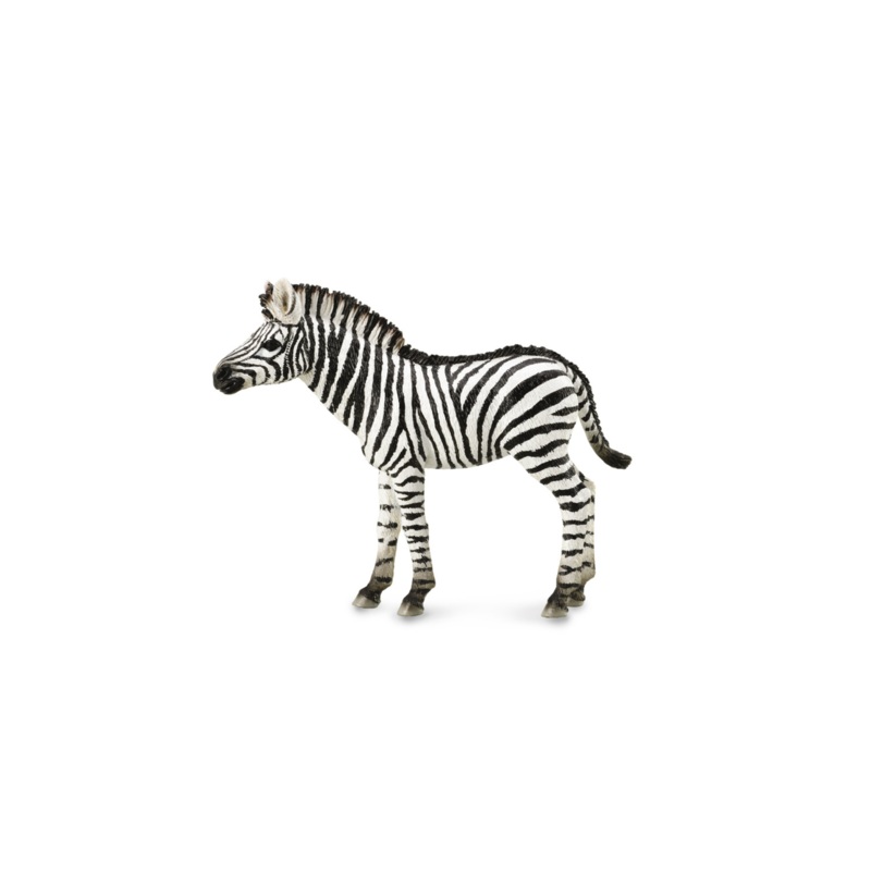 CollectA Zebra Foal Medium