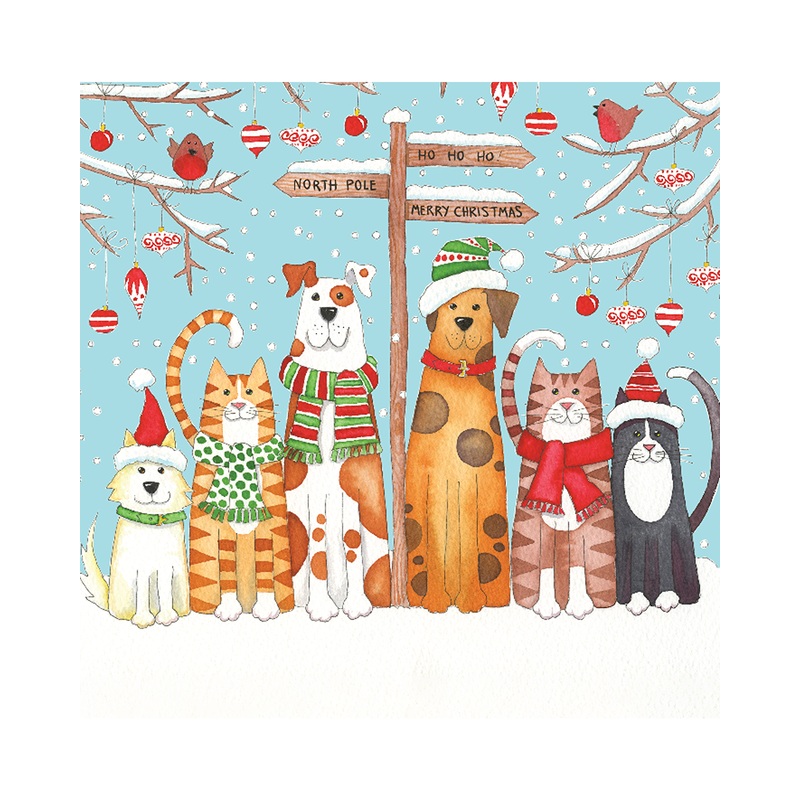 Waterlyn Christmas Boxed Cards Cats and Dogs