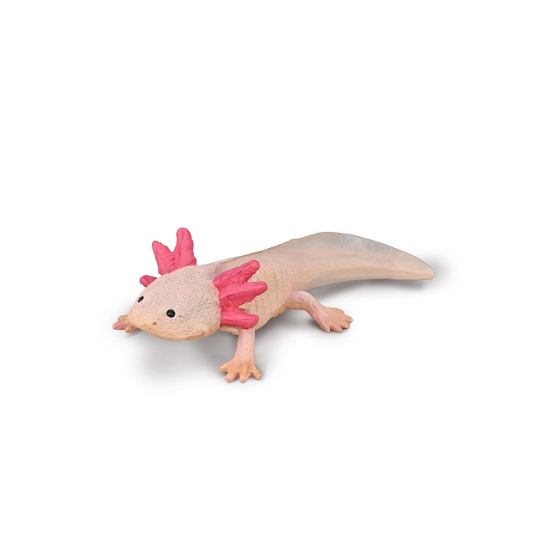 CollectA M Axolotl