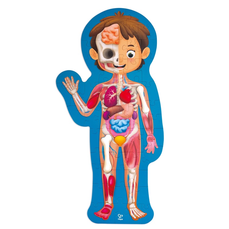 Hape 50pc Human Body Puzzle