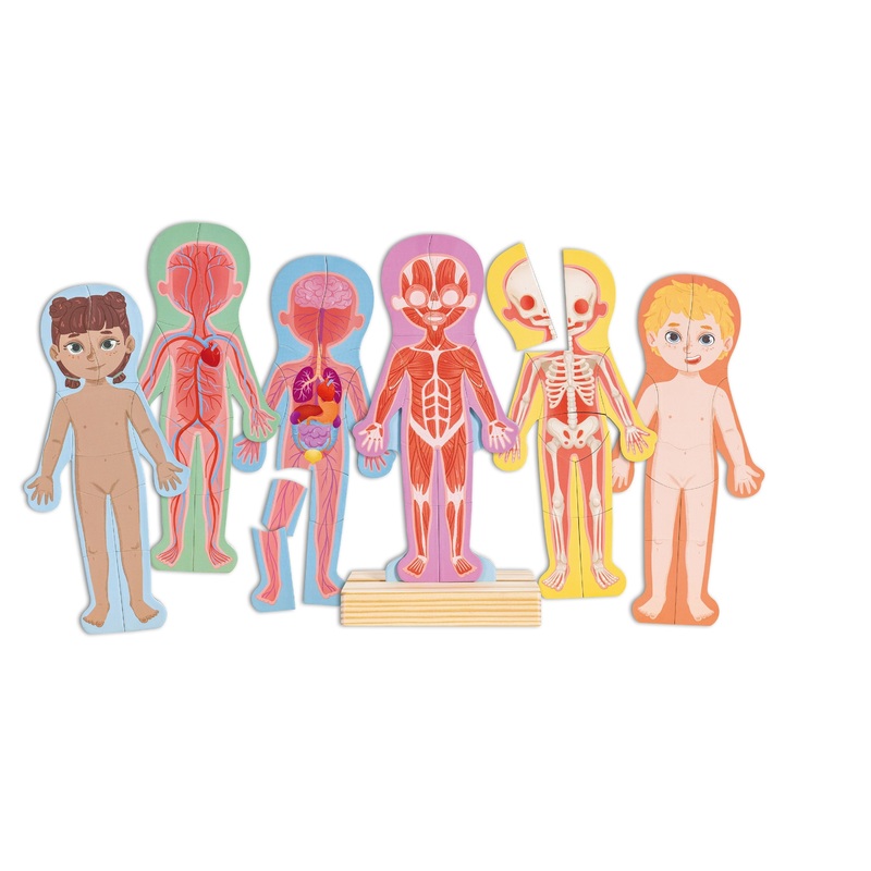MAGNETIC Human Body