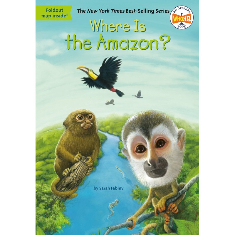 Where Is the Amazon?