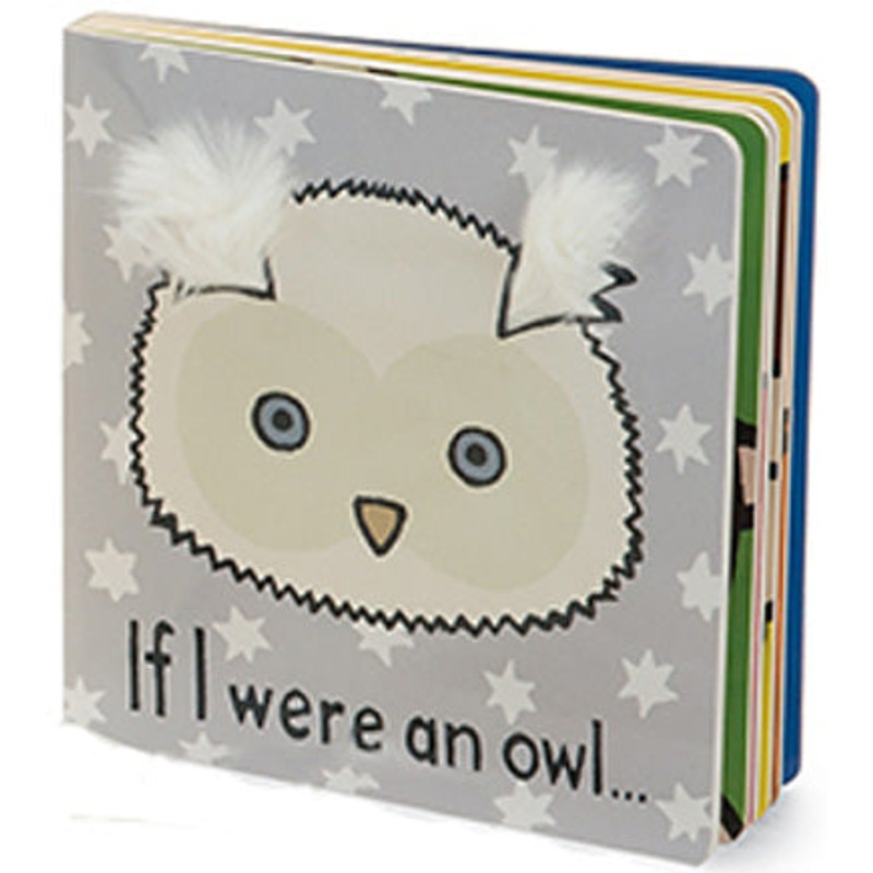 If I Were an Owl Book
