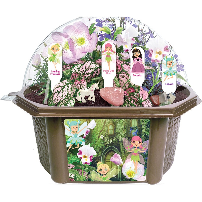 Fanciful Fairy Garden Biosphere Terrarium