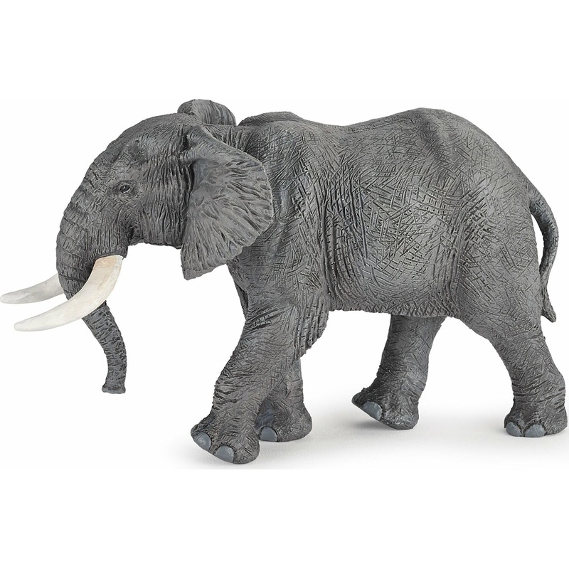 African Elephant