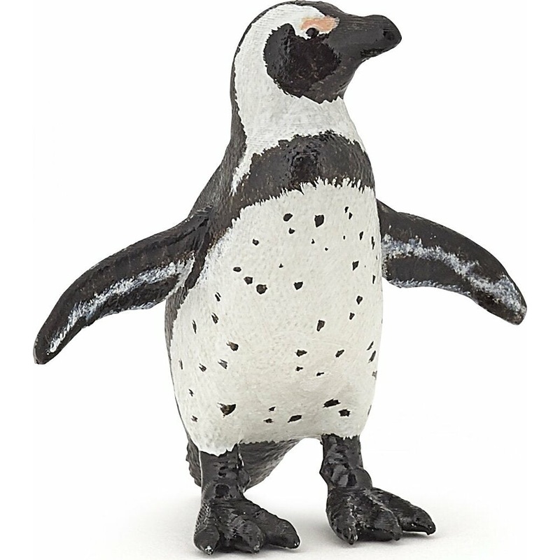 African Penguin