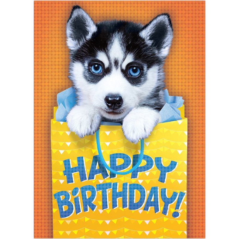 Photo Realistic Husky Foil Birthdaycard