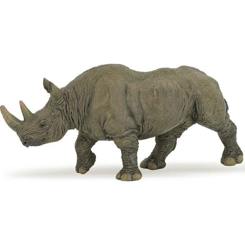 Black Rhinoceros