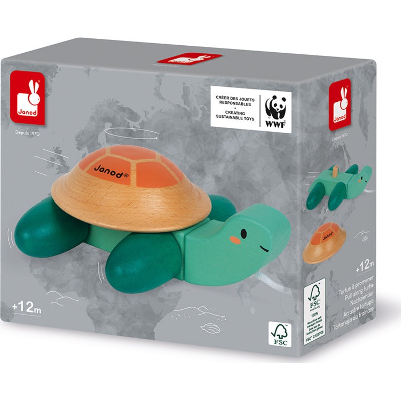 Pull Along Turtle
