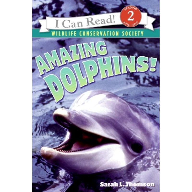 Amazing Dolphins!