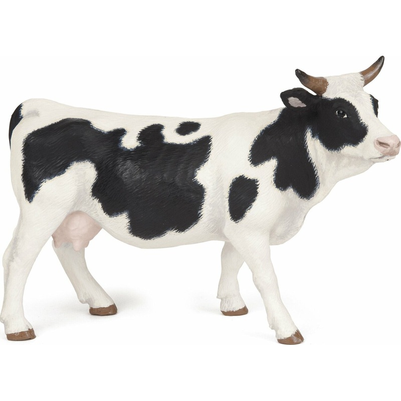 Black And White Cow