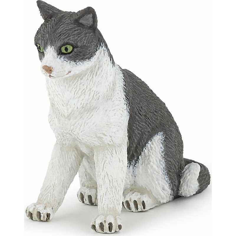 Cat Sitting Down
