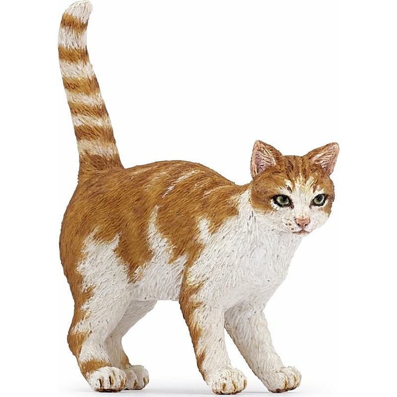 Red Cat