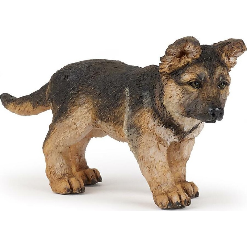 Baby German Shepherd