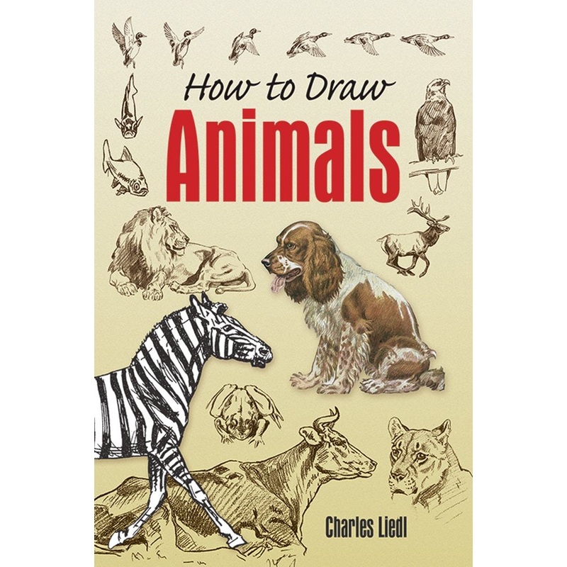 How to Draw Animals