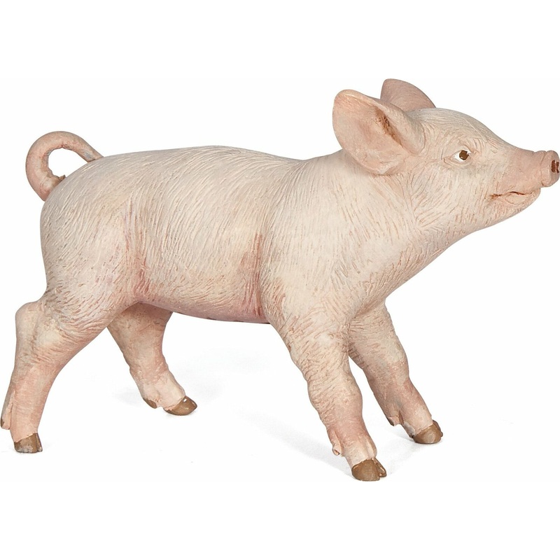 Female Piglet