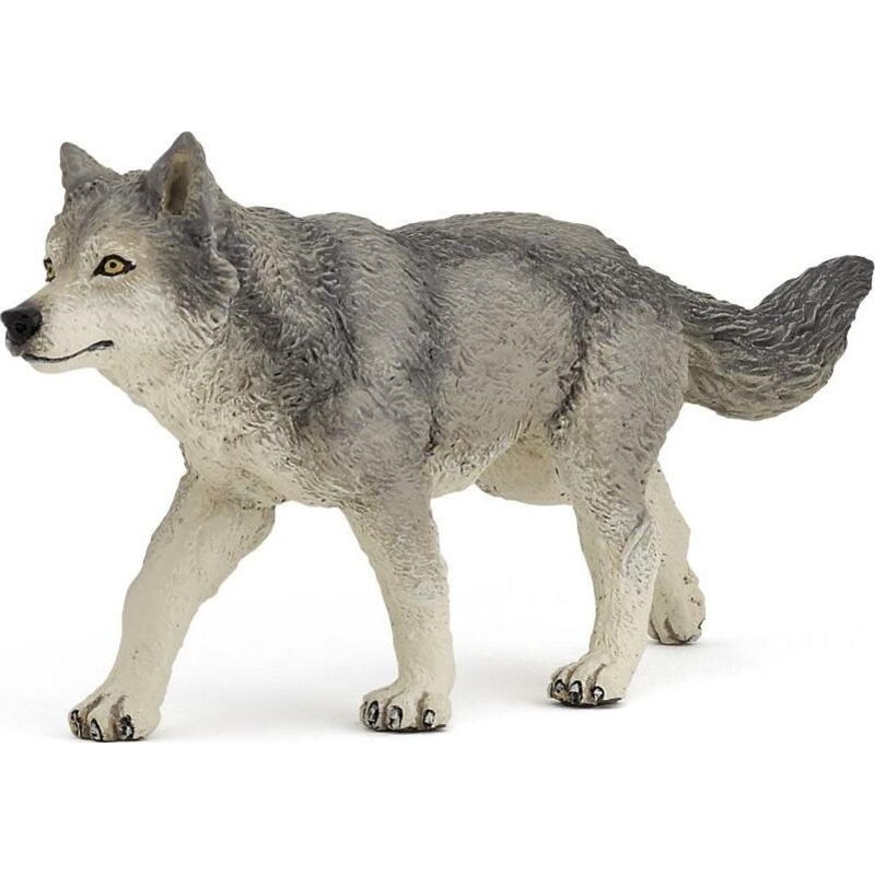Grey Wolf