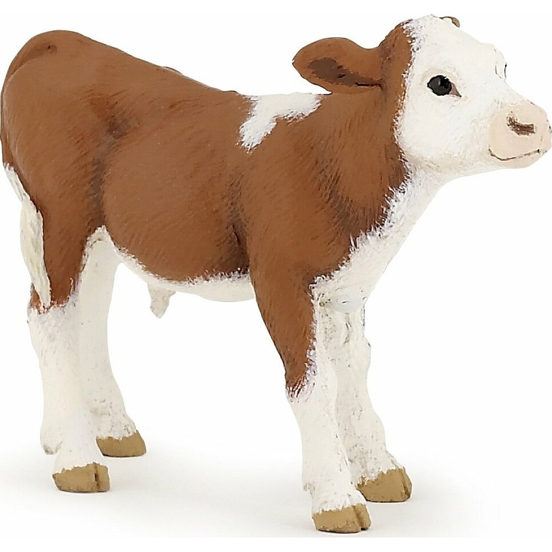 Simmental Calf