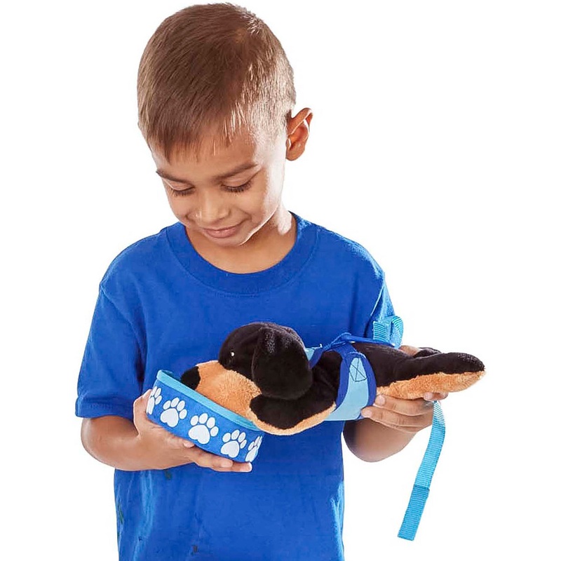 Tricks & Training Puppy School Play Set
