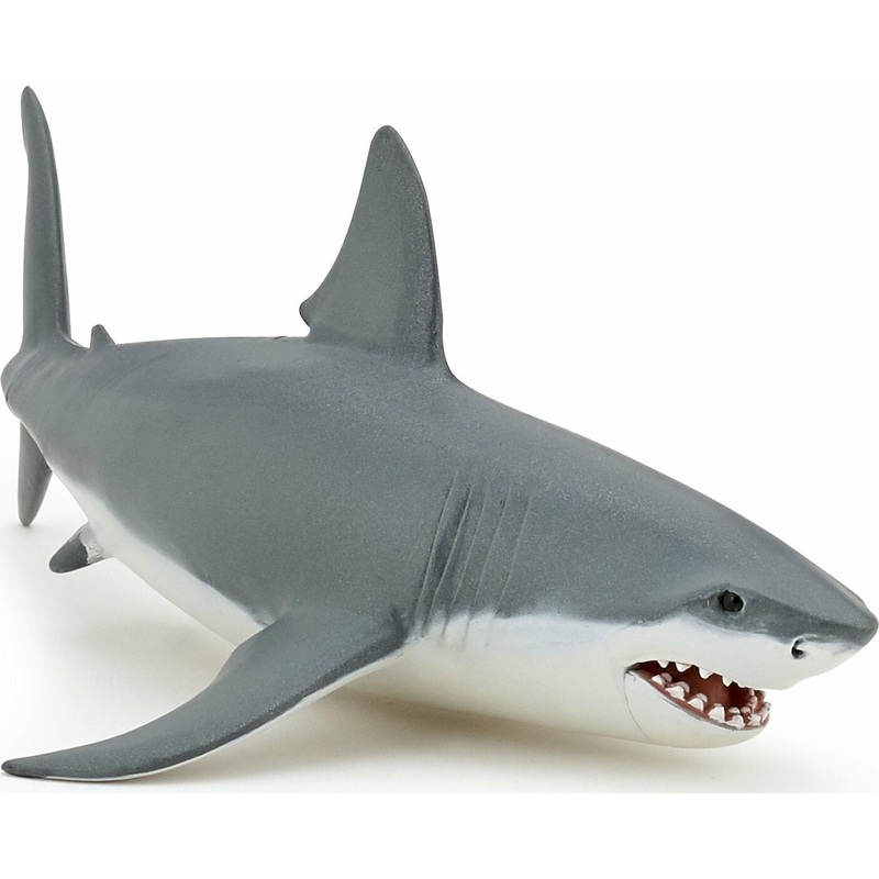 White Shark