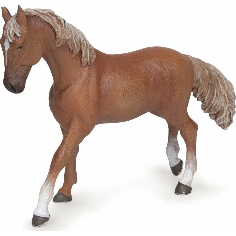 Alezan English Thoroughbred Mare