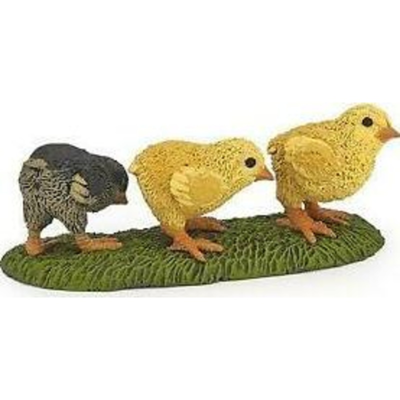 Chicks