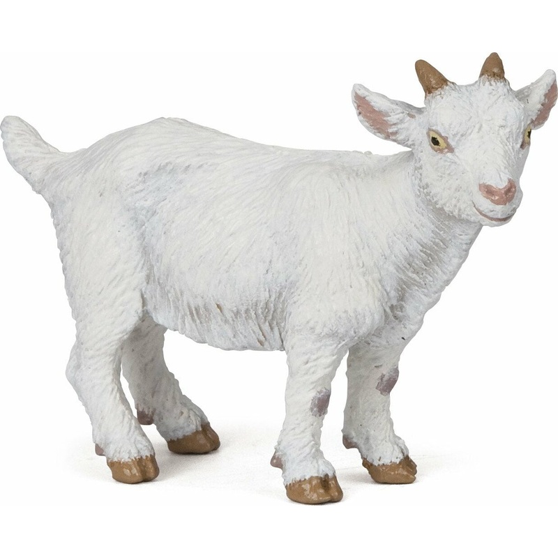 White Kid Goat