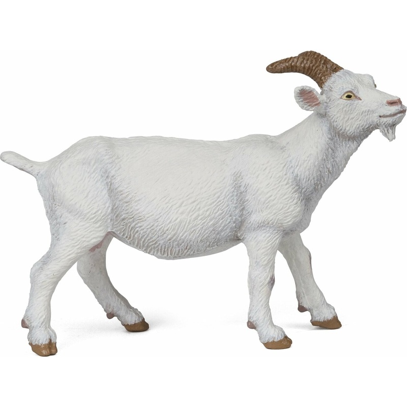 White Nanny Goat