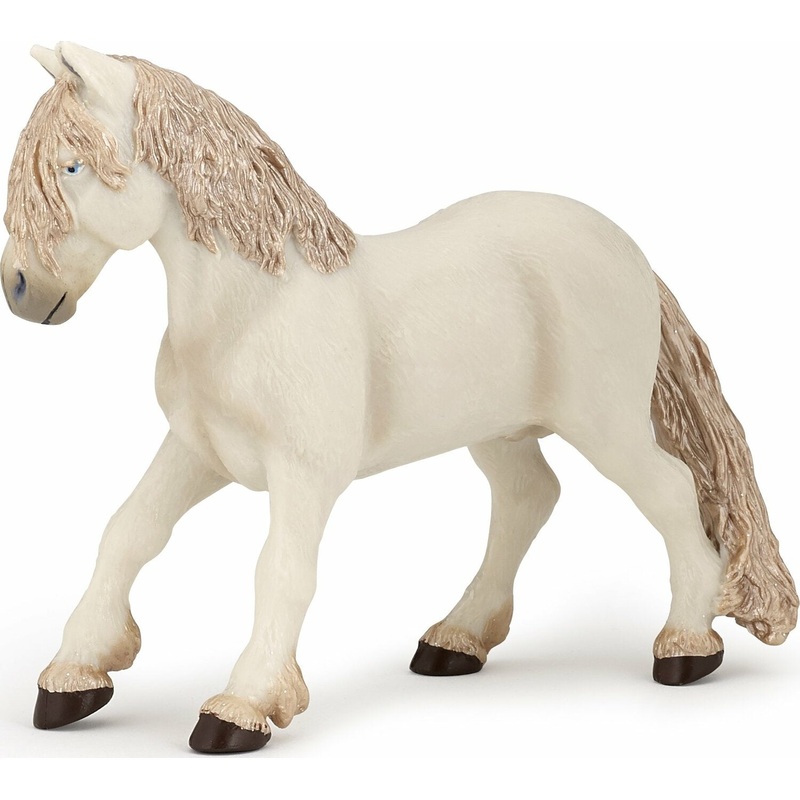 Fairy Pony