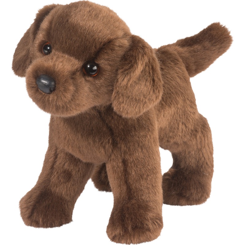 TUCKER  CHOCOLATE LAB
