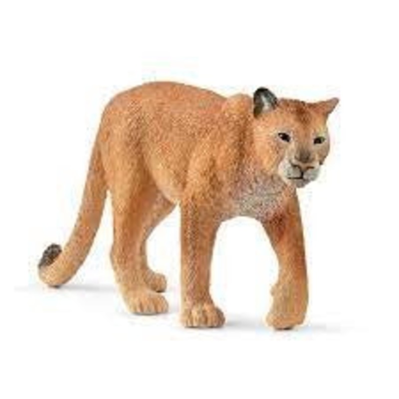 Cougar 14853
