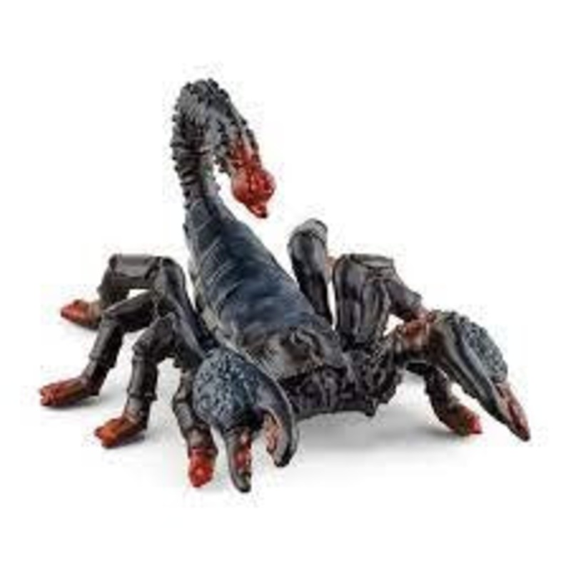 Emperor Scorpion 14857