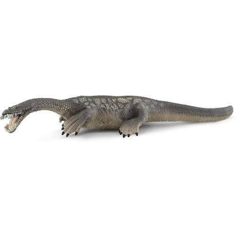 Nothosaurus 15031