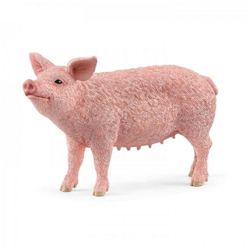 Pig 13933