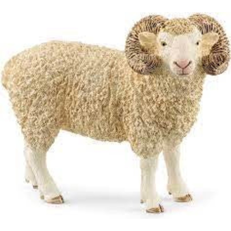 Ram 13937