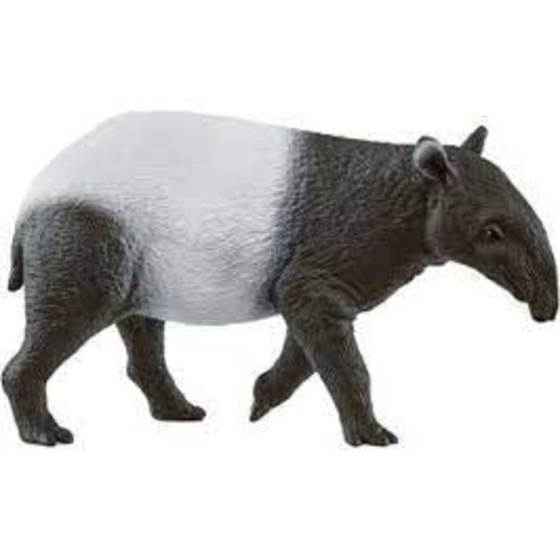 Tapir 14850