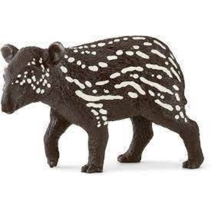 Tapir Baby 14851