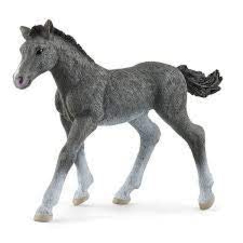 Trakehner Foal 13944