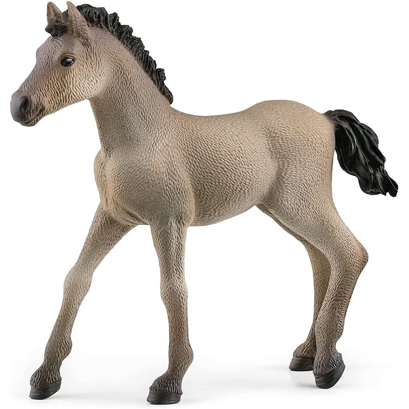 Criollo Definitivo Foal 13949
