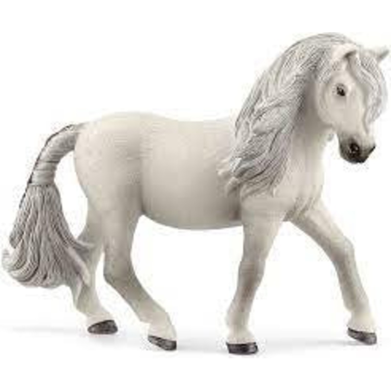 Iceland Pony Mare 13942