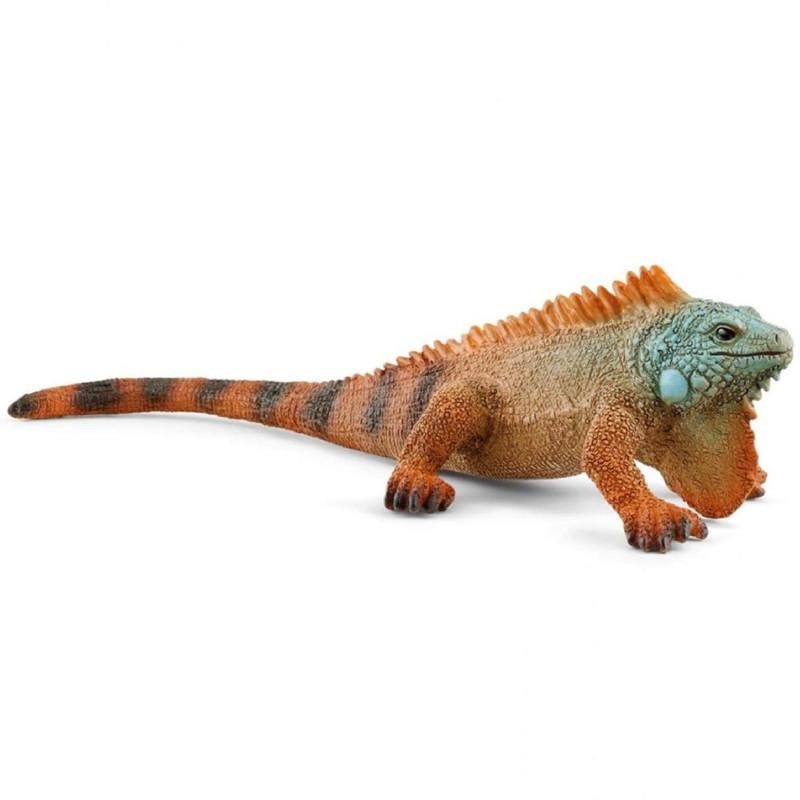 Iguana 14854