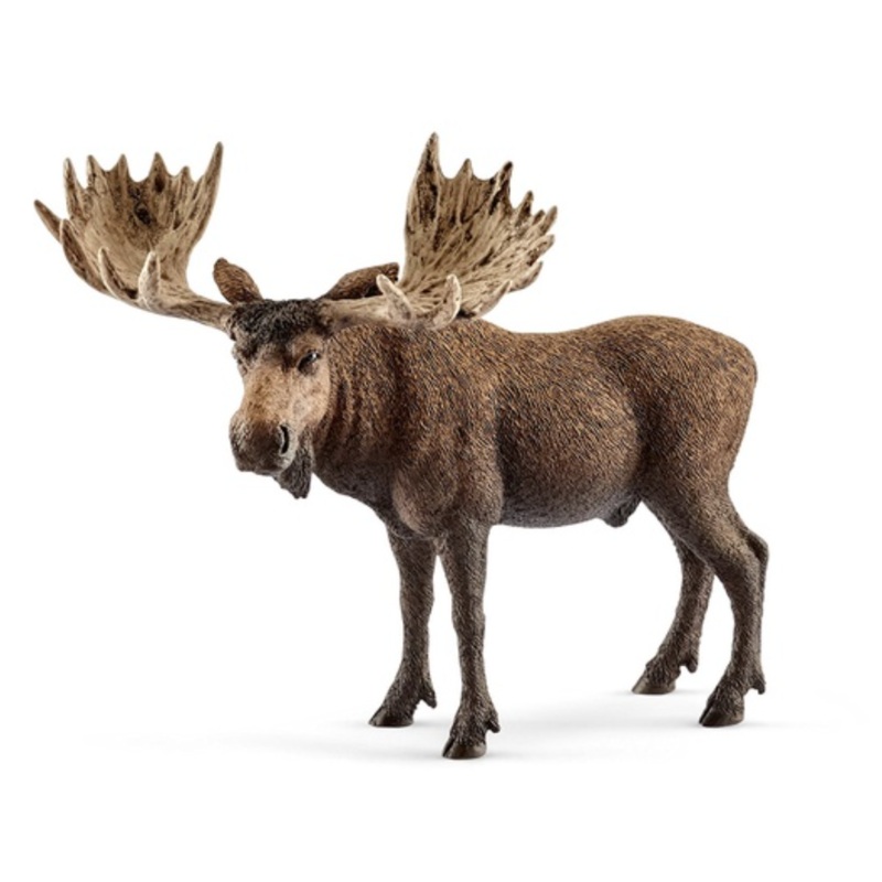 Moose Bull 14871